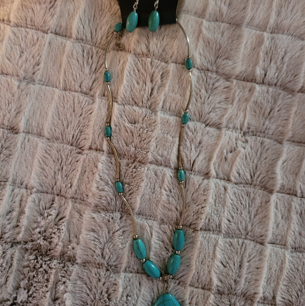 Paparazzi Earrings & Necklace set